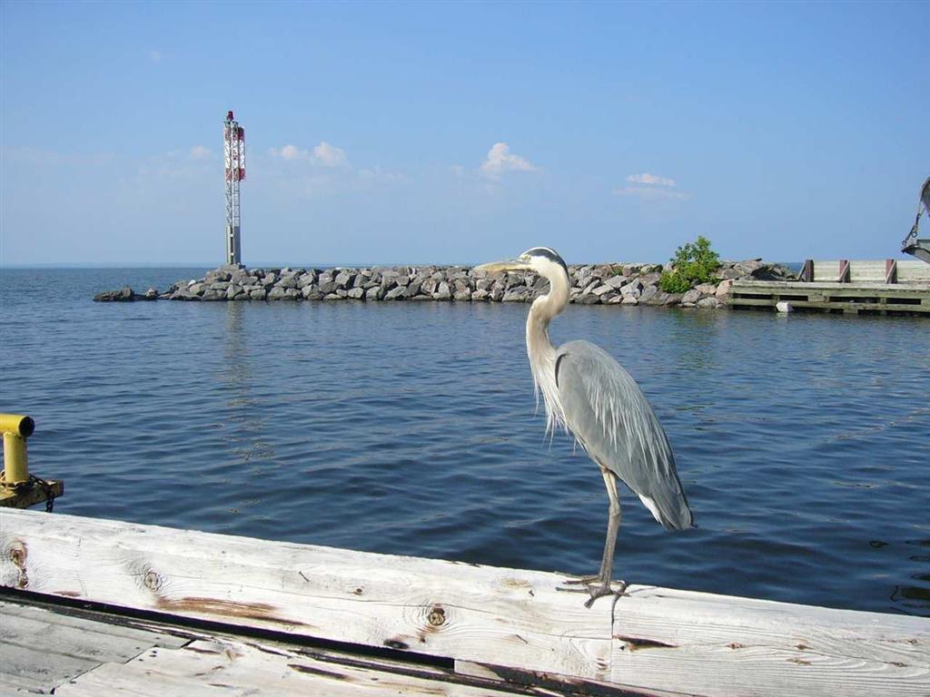 Hampton Inn By Hilton North Bay Bekvämligheter bild